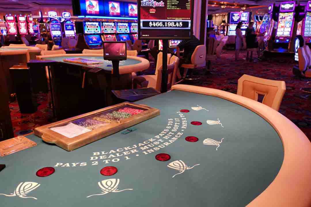 Đến với Casino Ha Tien Vegas, du khách sẽ được thỏa mãn nhu cầu đánh bạc